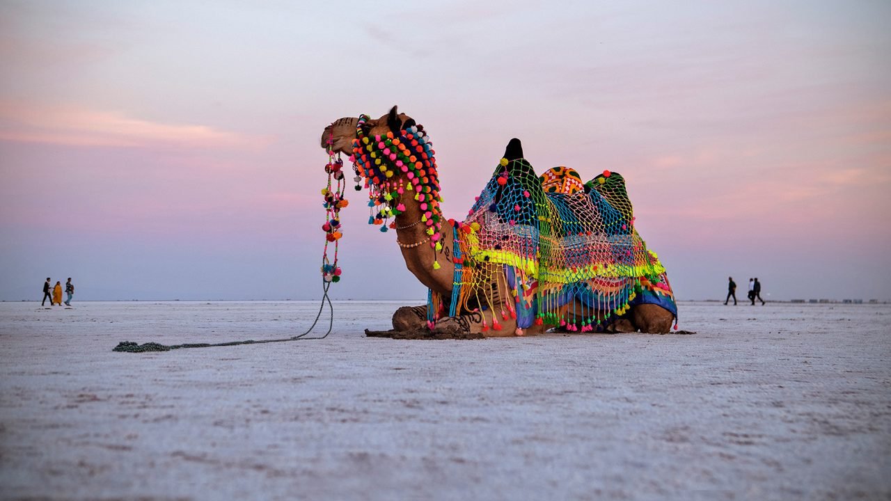 Rann of Kutch Tour